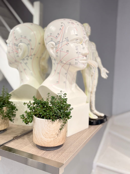 Ebook : initiation à la lecture et au décodage du cuir chevelu